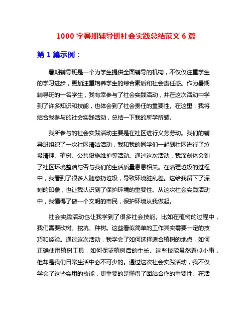 1000字暑期辅导班社会实践总结范文6篇