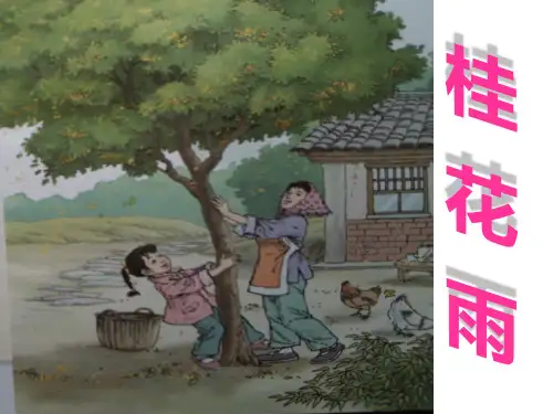 四年级上册语文课件-12 桂花雨｜苏教版 (共15张PPT)(2)