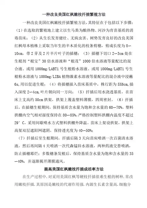 一种改良美国红枫嫩枝扦插繁殖方法