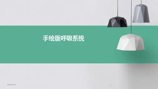 手绘版呼吸系统