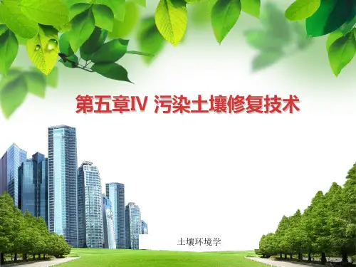 第五章4-3污染土壤修复技术