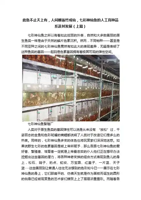 此鱼不止天上有，人间雕琢终成仙，七彩神仙鱼的人工育种品系及其发展（上篇）