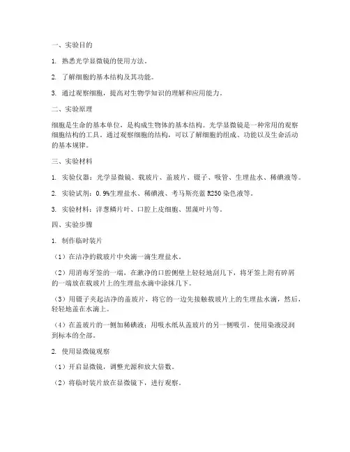 科学观察细胞的实验报告