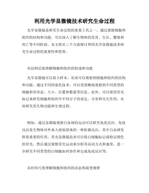 利用光学显微镜技术研究生命过程