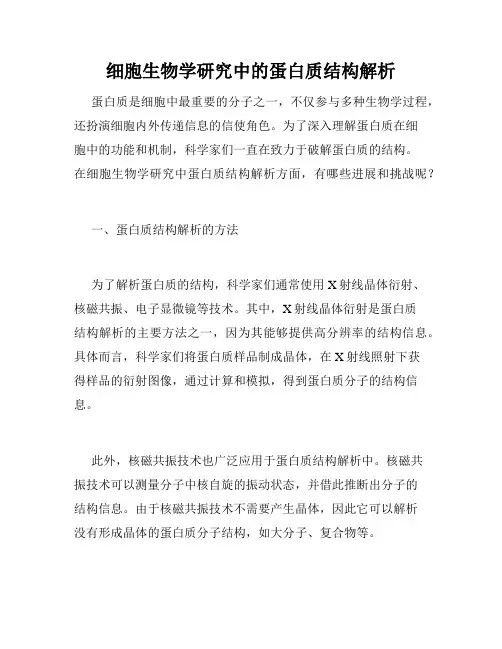 细胞生物学研究中的蛋白质结构解析