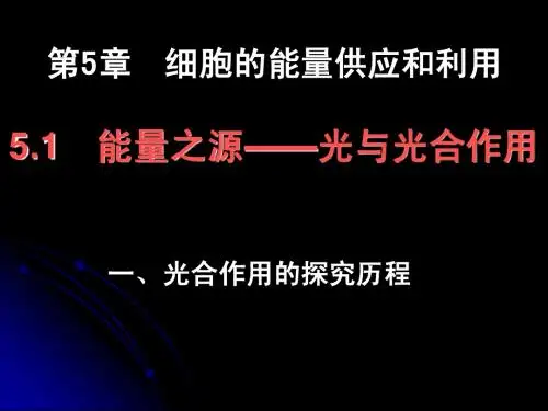 光合作用的探究历程