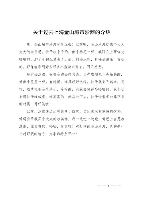 关于过去上海金山城市沙滩的介绍