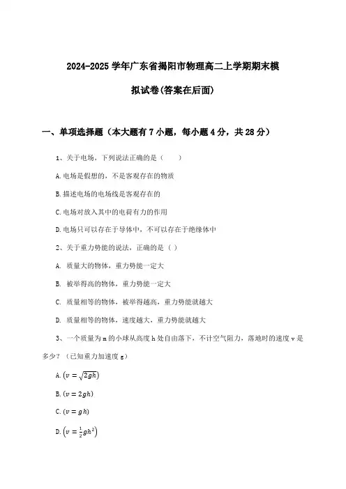 2024-2025学年广东省揭阳市高二上学期期末物理试卷与参考答案