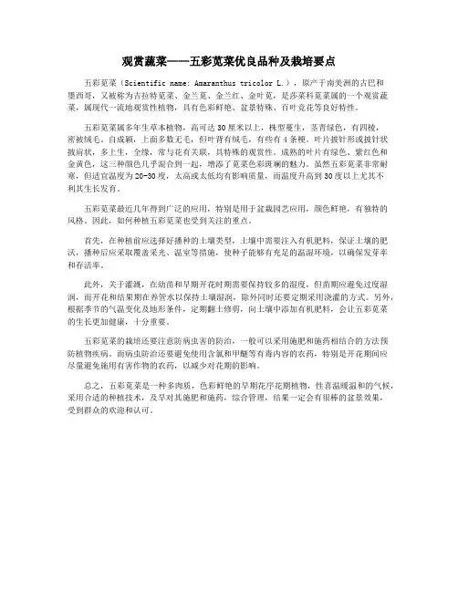 观赏蔬菜——五彩苋菜优良品种及栽培要点