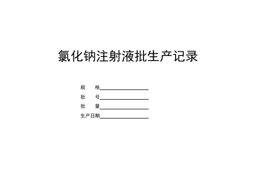 氯化钠注射液批生产记录