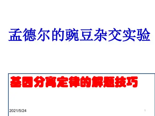 基因分离定律复习(公开课)