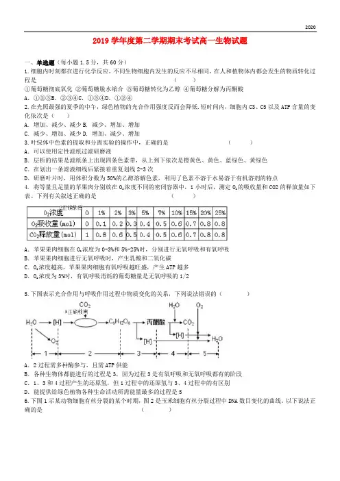 2020学年高一生物下学期期末考试试题 新 版 新目标