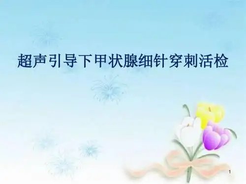 超声引导下甲状腺细针穿刺活检ppt课件