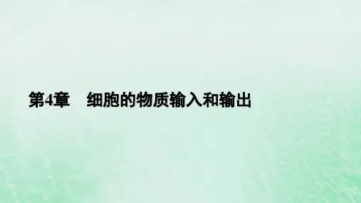 高中生物第4章细胞的物质输入和输出第2节主动运输与胞吞胞吐课件新人教版必修1