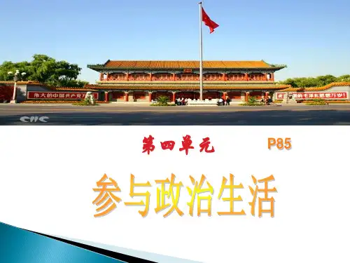 第9课  依法行使民主权利