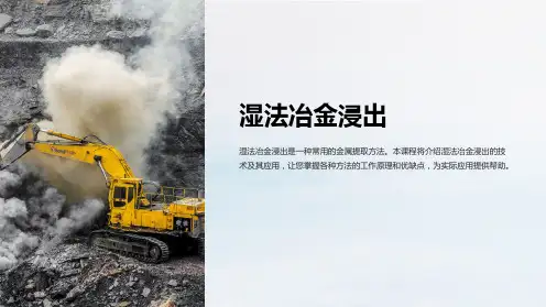 《湿法冶金浸出》课件