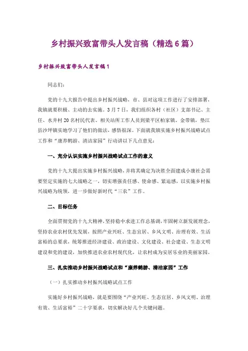 乡村振兴致富带头人发言稿(精选6篇)