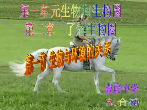 新人教版初一生物上册第一单元第二章第一节生物与环境的关系