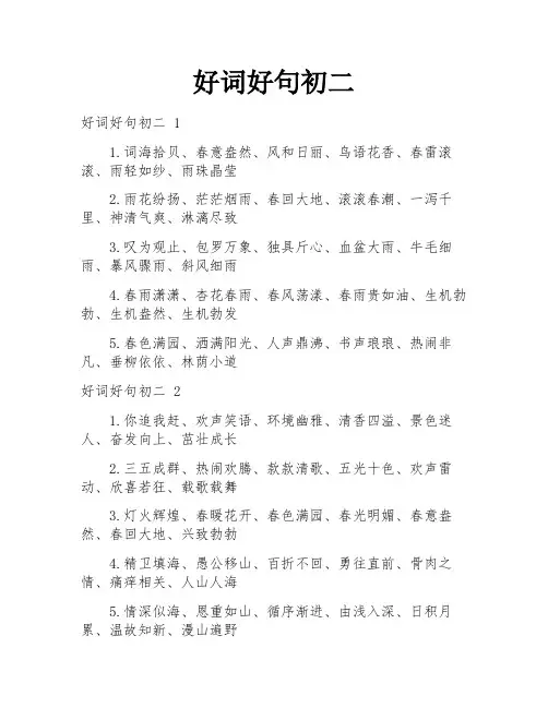 好词好句初二
