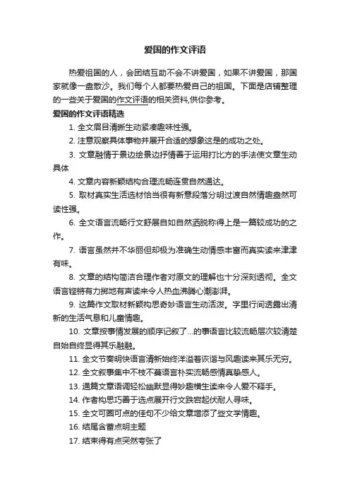 爱国的作文评语