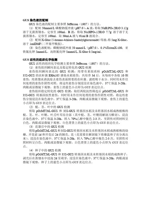 GUS活性的组织化学检测