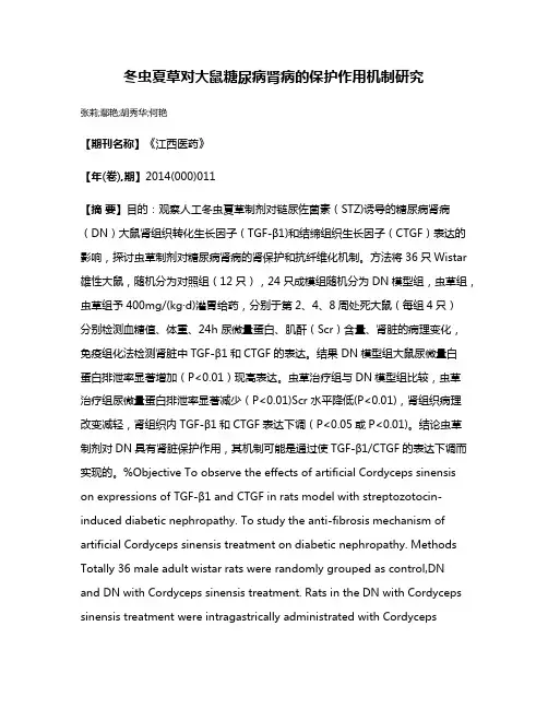 冬虫夏草对大鼠糖尿病肾病的保护作用机制研究
