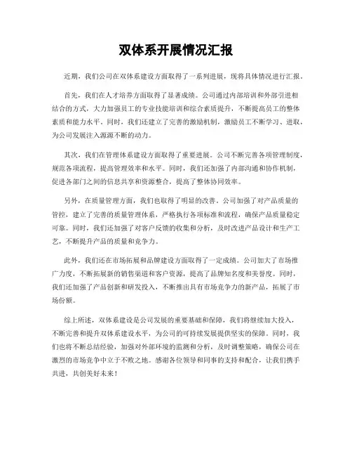 双体系开展情况汇报