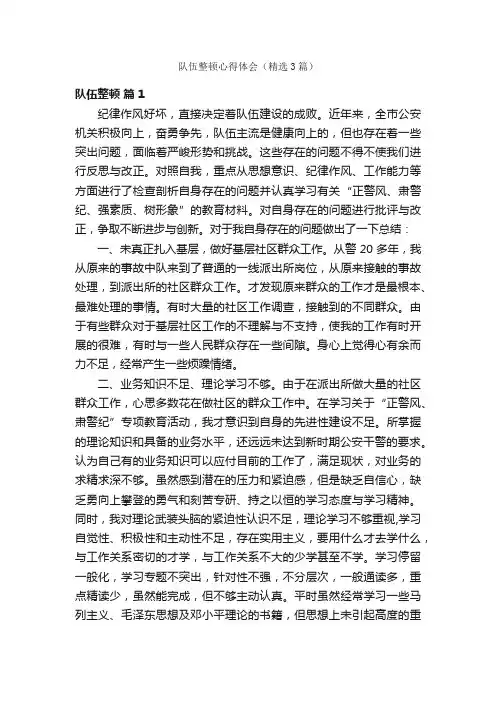 队伍整顿心得体会（精选3篇）