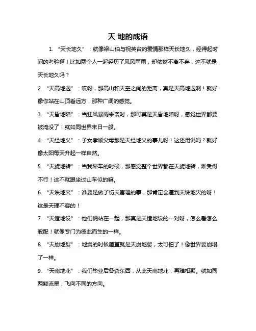 天 地的成语