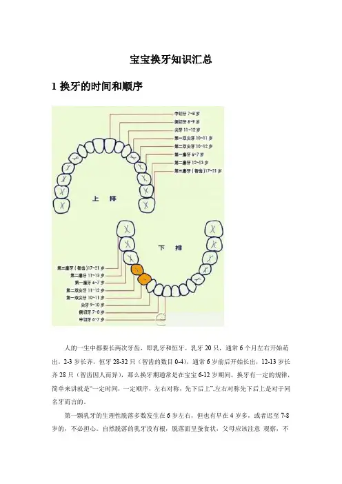 宝宝换牙知识汇总