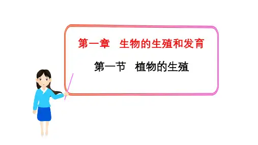 7.1.1  植物的生殖   课件-(31张PPT)2022-2023学年人教版生物八年级下册