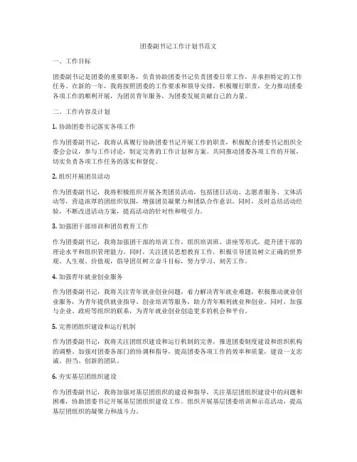 团委副书记工作计划书范文