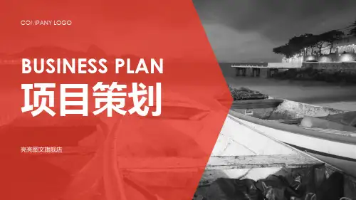 华为项目策划PPT