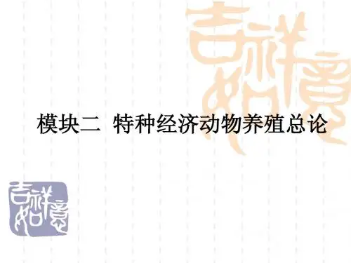 模块二  特种经济动
