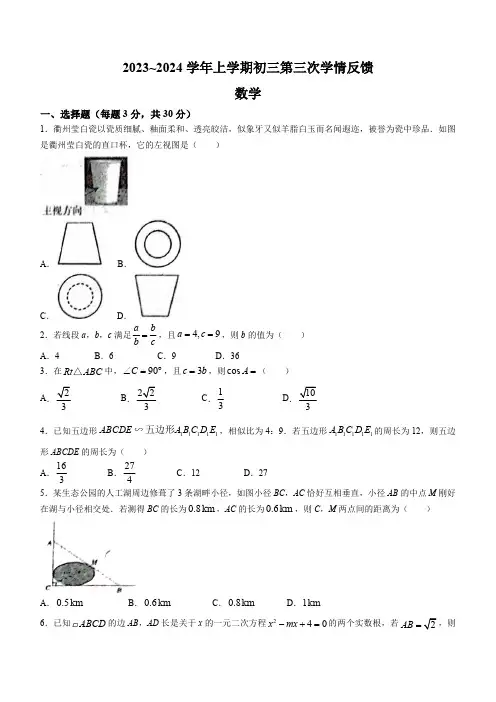 广东省佛山市南海区南海实验中学2023-2024学年九年级上学期月考数学试题(含答案)