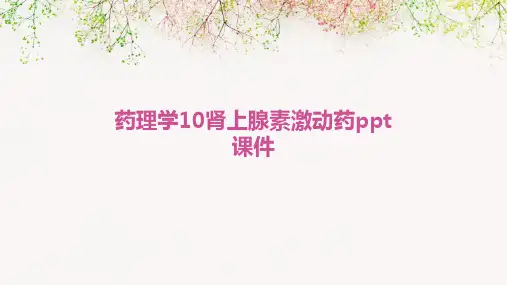 药理学10肾上腺素激动药PPT课件