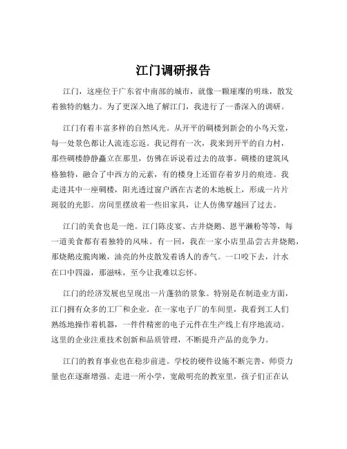 江门调研报告