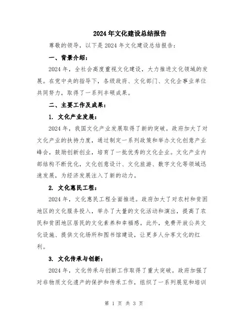 2024年文化建设总结报告