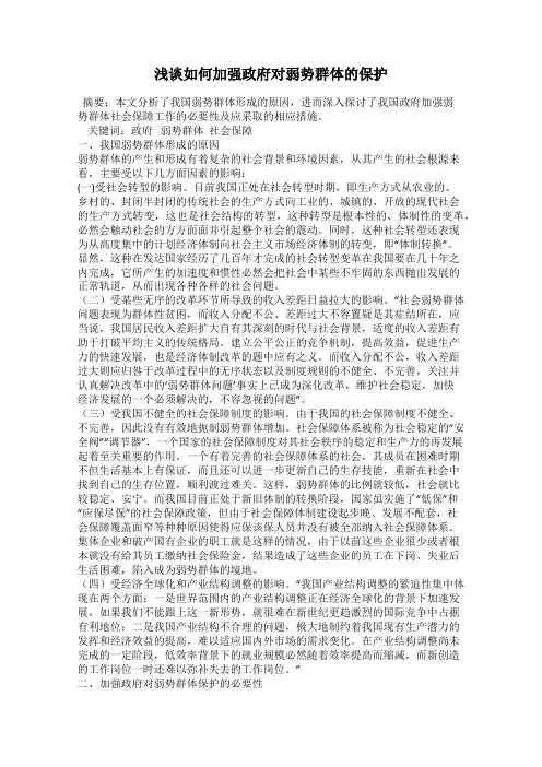 浅谈如何加强政府对弱势群体的保护