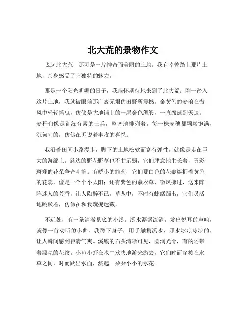 北大荒的景物作文