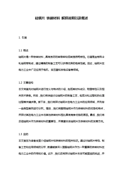 硅钢片_铁磁材料_解释说明以及概述