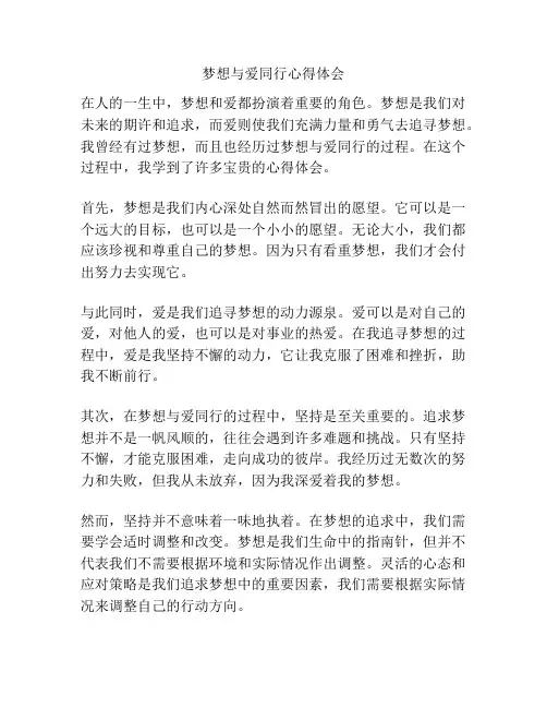 梦想与爱同行心得体会