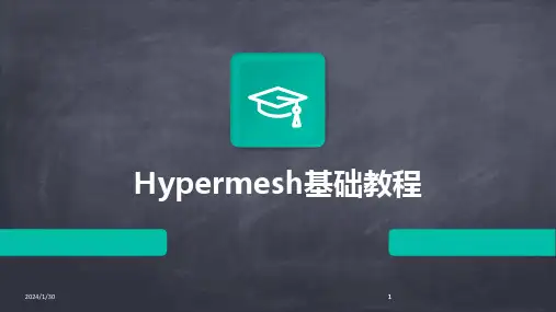 2024版Hypermesh基础教程[1]