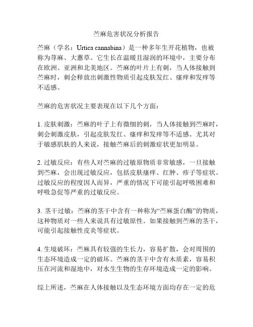 苎麻危害状况分析报告