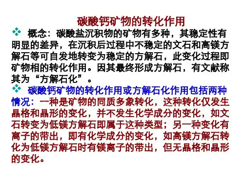 碳酸盐岩成岩作用-交代