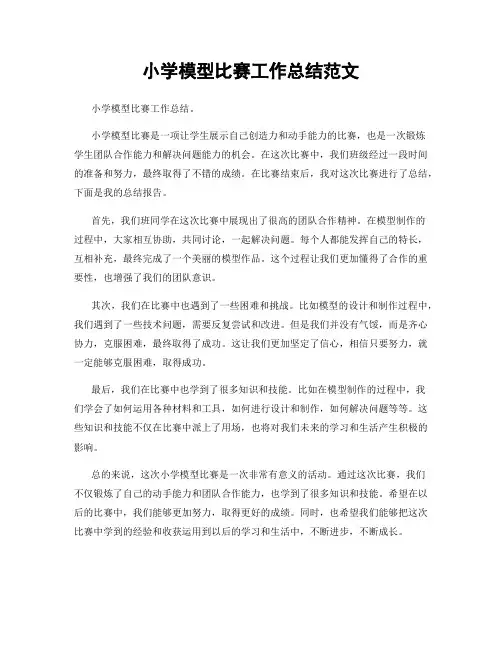 小学模型比赛工作总结范文