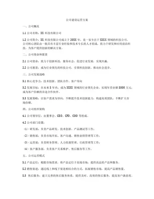 公司建设运营方案