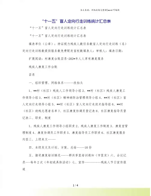 “十一五”盲人定向行走训练统计汇总表