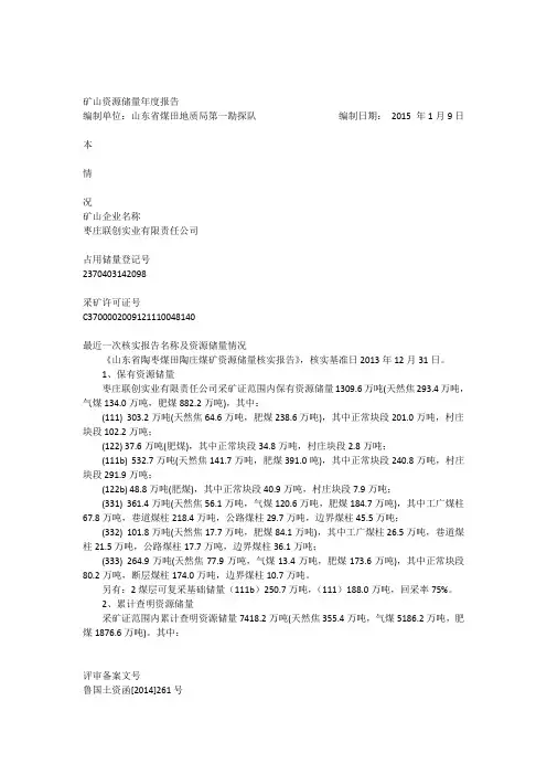 矿山资源储量年度报告