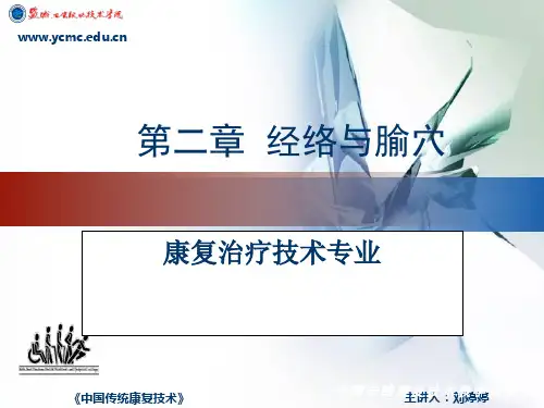 第三节经络腧穴各论
